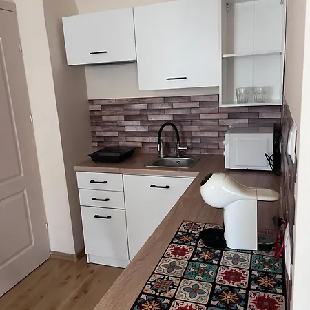 U Piekarza Za Piecem Apartment Jarnoltowek Exterior photo