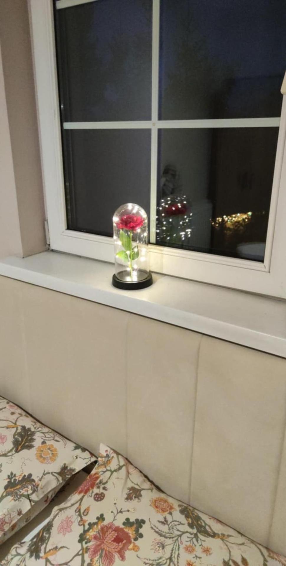 U Piekarza Za Piecem Apartment Jarnoltowek
